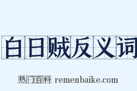白日贼反义词是什么意思的图片